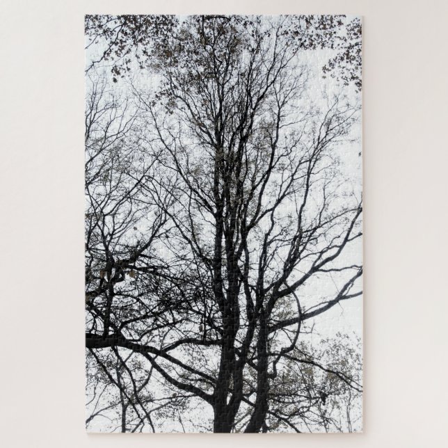 Puzzle Central Park fin automne presque Barren Tree B&W (Vertical)