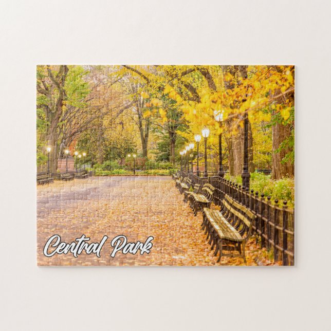 Puzzle Central Park, Manhattan, New York, États-Unis (Horizontal)