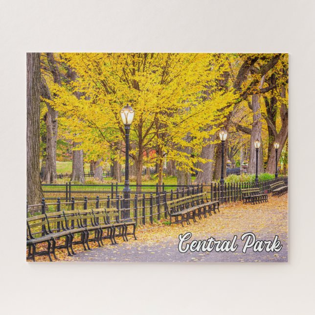 Puzzle Central Park, Manhattan, New York, États-Unis (Horizontal)