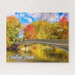 Puzzle Central Park, Manhattan, New York, USA