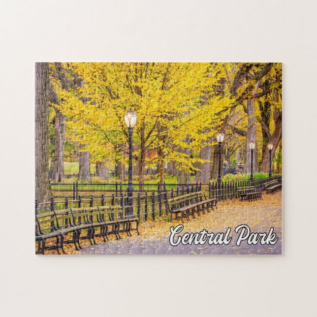 Puzzle Central Park, Manhattan, New York, USA (Horizontal)