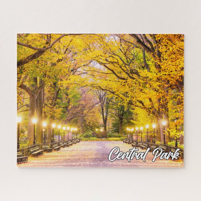 Puzzle Central Park, Manhattan, New York, USA (Horizontal)