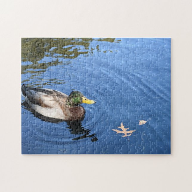 Puzzle Central Park NYC Conservatoire Eau Mallard Canard (Horizontal)
