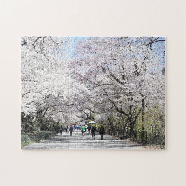 Puzzle Central Park Spring Cherry Blossoms New York NYC (Horizontal)