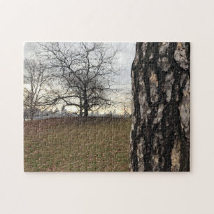 Puzzle Central Park Trees Sunrise New York City Photo