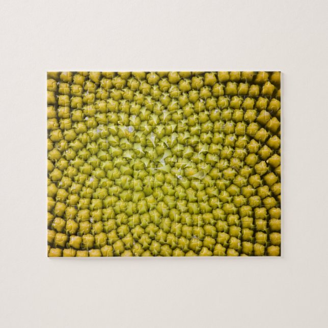 Puzzle Centre de grand Tournesol (Helianthus annuus) (Horizontal)