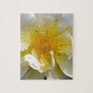 Puzzle Centre rose blanc