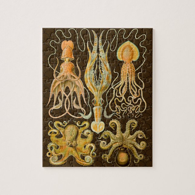 Puzzle Cephalopod poulpe calmar Nature marine (Vertical)