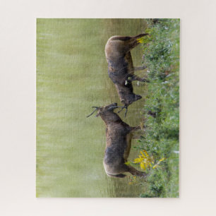 Puzzle Cerf