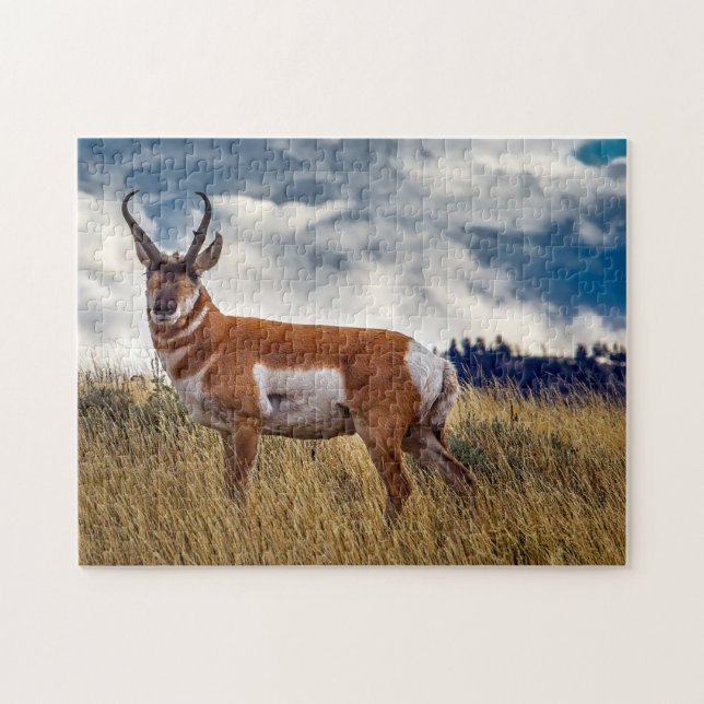 Puzzle Cerf à fourche Wyoming. (Horizontal)