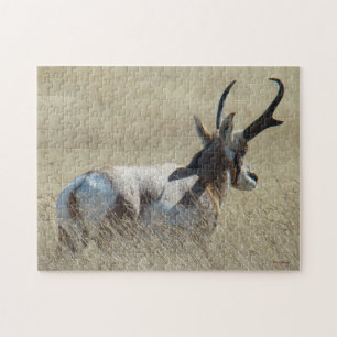 Puzzle Cerf antilope A14 Buck Sunshine