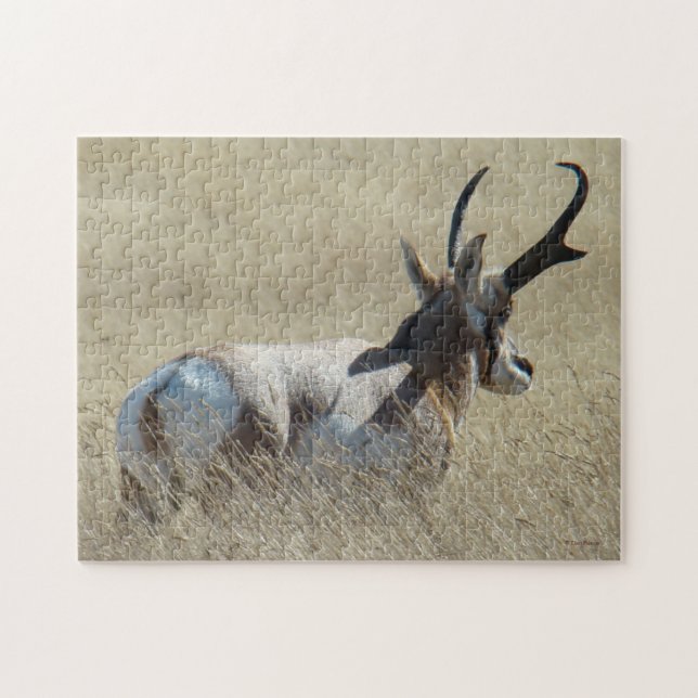 Puzzle Cerf antilope A14 Buck Sunshine (Horizontal)