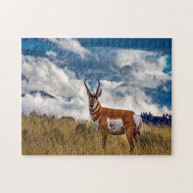 Puzzle Cerf Antilope Montana. (Horizontal)