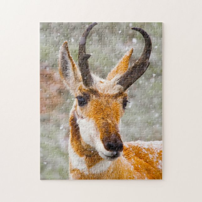 Puzzle Cerf Antilope Wyoming. (Vertical)