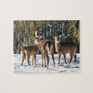 Puzzle Cerf blanc en neige
