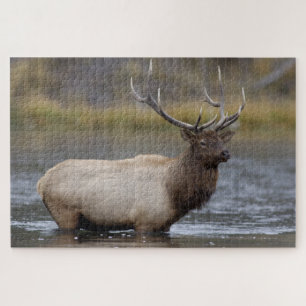 Puzzle Cerf élaphe mâle traversant Parc national de Yel