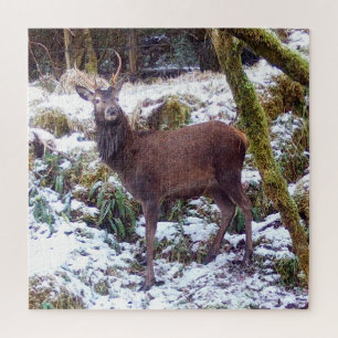 Puzzle Cerf majestueux d'hiver Forêt enneigée Faune Scéni