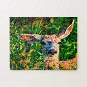Puzzle Cerf Mule Wyoming .