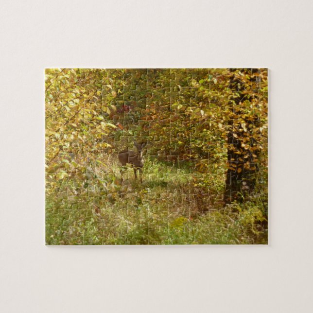 Puzzle Cerfs de Pennsylvanie en automne dans la nature (Horizontal)