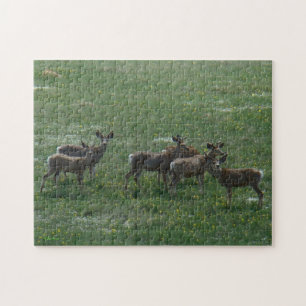 Puzzle Cerfs Mulets Printaniers D7