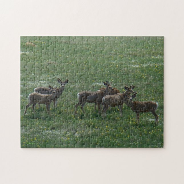 Puzzle Cerfs Mulets Printaniers D7 (Horizontal)