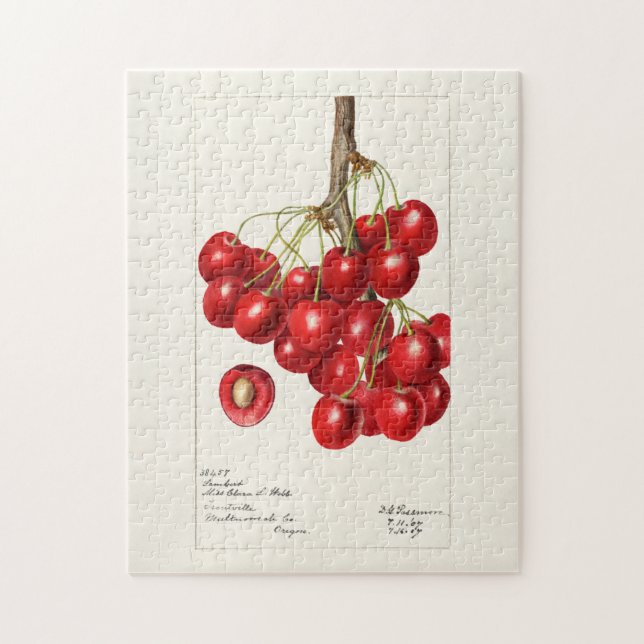 Puzzle Cerises (Prunus Avium) Aquarelle de fruits Peintur (Vertical)