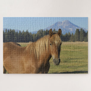 Puzzle Chaîne des Cascades Cheval châtain