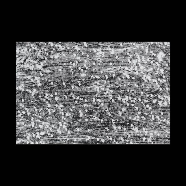 Puzzle Challenging Black and White (Créateur téléchargé)