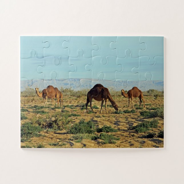 Puzzle Chameaux, Tunisie 30- (Horizontal)