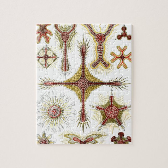 Puzzle Chamomile sauvage par Ernst Haeckel, Nature Vintag (Vertical)