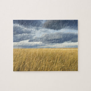 Puzzle Champ avec des nuages de tempête