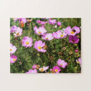 Puzzle Champ De Cosmos Rose Effet Orton Fleur
