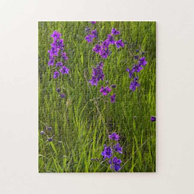 Puzzle Champ de fleurs de larkspur violet (Vertical)