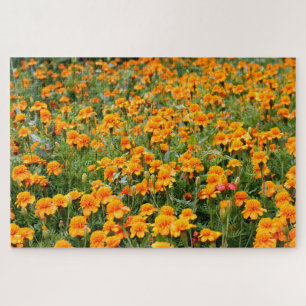 Puzzle Champ de Fleurs de Marigold difficile