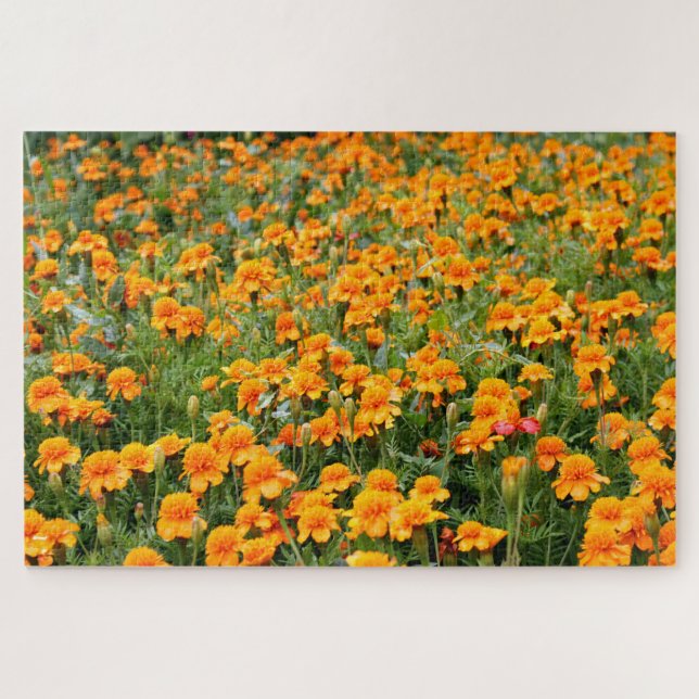 Puzzle Champ de Fleurs de Marigold difficile (Horizontal)