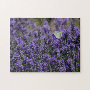 Puzzle Champ de fleurs violettes de lavande avec papillon