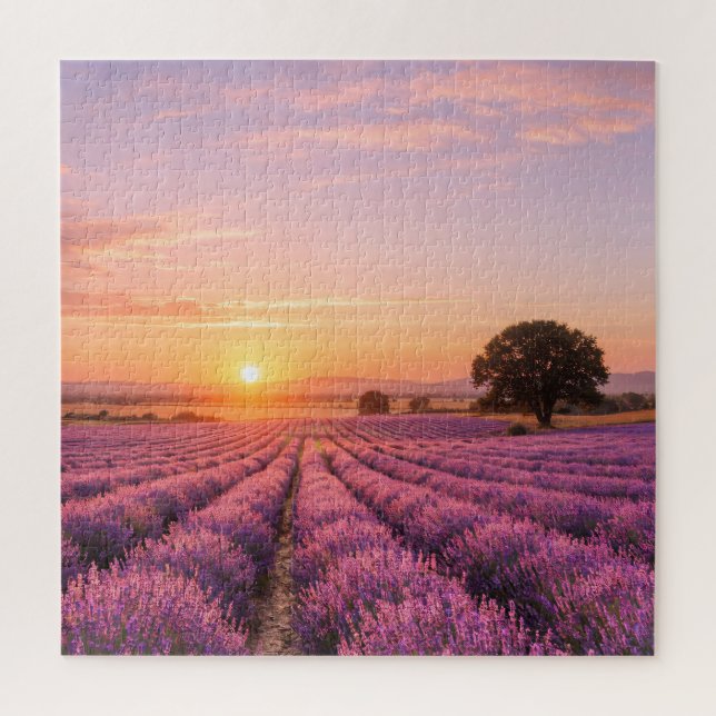 Puzzle Champ de lavande en fleurs au coucher de soleil do (Vertical)