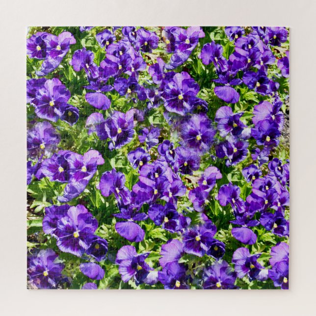 Puzzle Champ de Purple Pansy (Vertical)