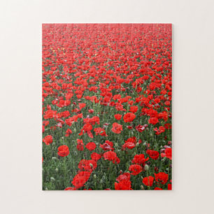 Puzzle Champ de Red Poppies