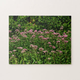 Puzzle Champ De Sweet Joe Pye Fleurs De Mauvaises Herbes 