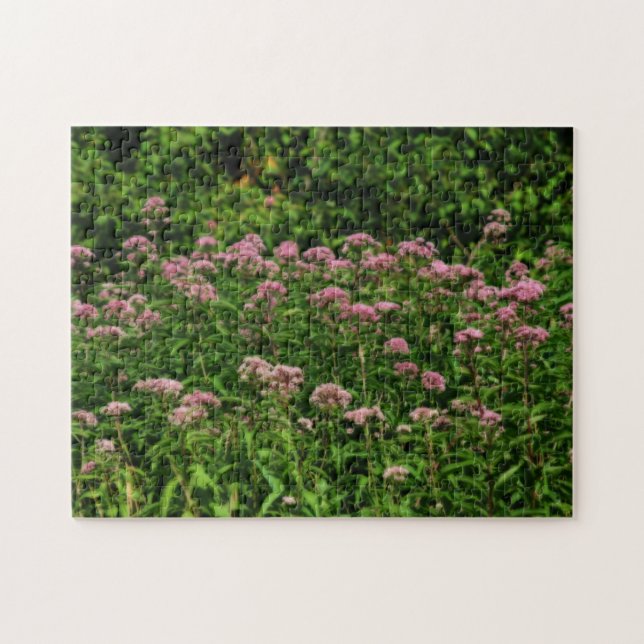 Puzzle Champ De Sweet Joe Pye Fleurs De Mauvaises Herbes  (Horizontal)