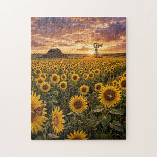 Puzzle Champ de tournesols au coucher du soleil