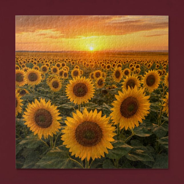 Puzzle Champ de Tournesols Dorés au Coucher du Soleil (Créateur téléchargé)