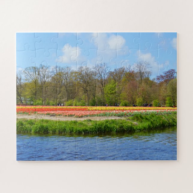 Puzzle Champ de tulipe en Hollande (Horizontal)