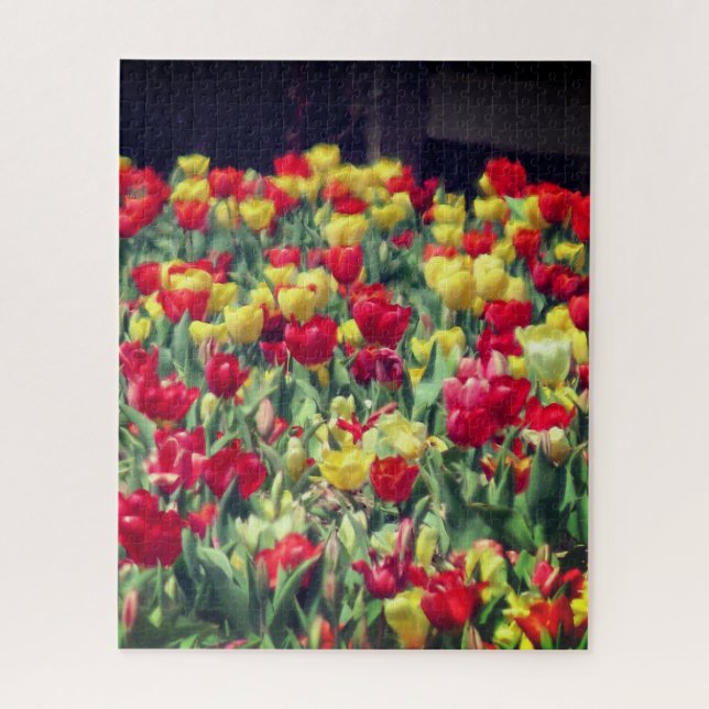 Puzzle Champ de tulipe rouge et jaune (Vertical)