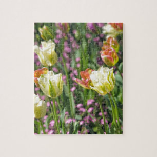 Puzzle Champ de tulipes