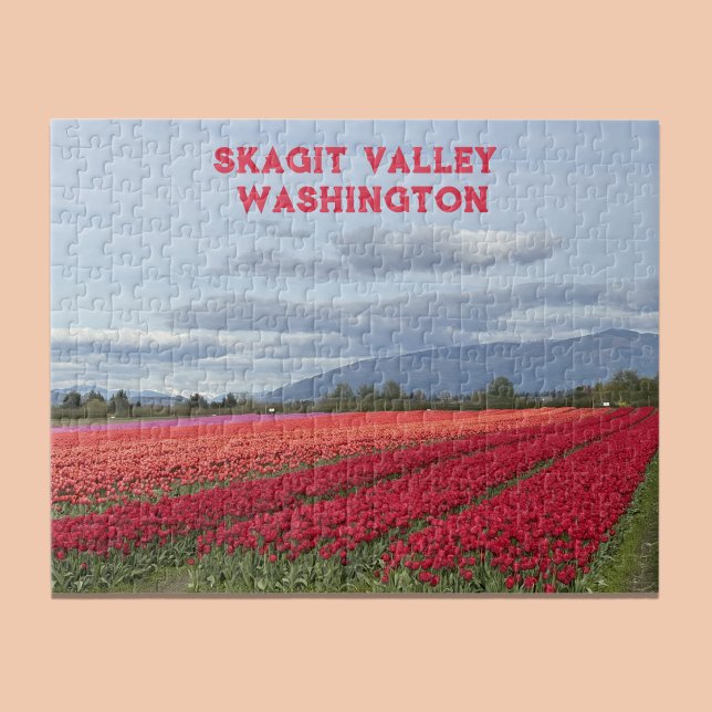 Puzzle Champ de tulipes de la vallée de Skagit dans l'Éta (Créateur téléchargé)