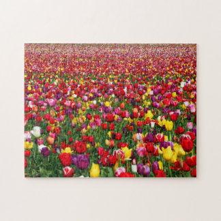 Puzzle Champ des tulipes multicolores