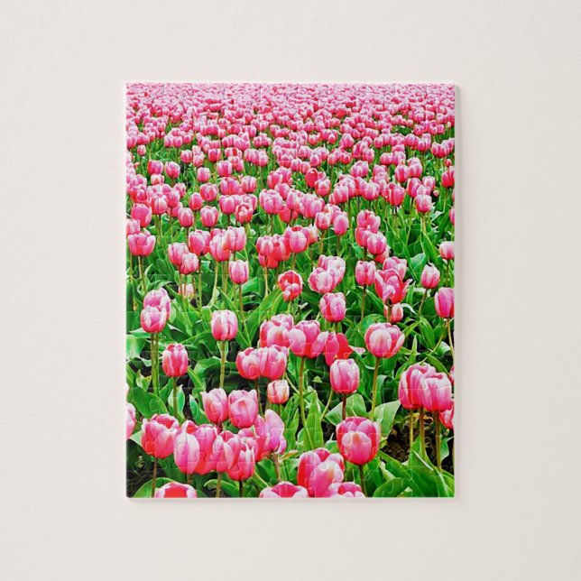 Puzzle Champ des tulipes roses (Vertical)