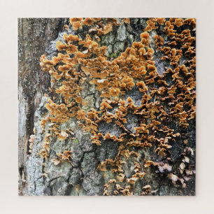 Puzzle champignon